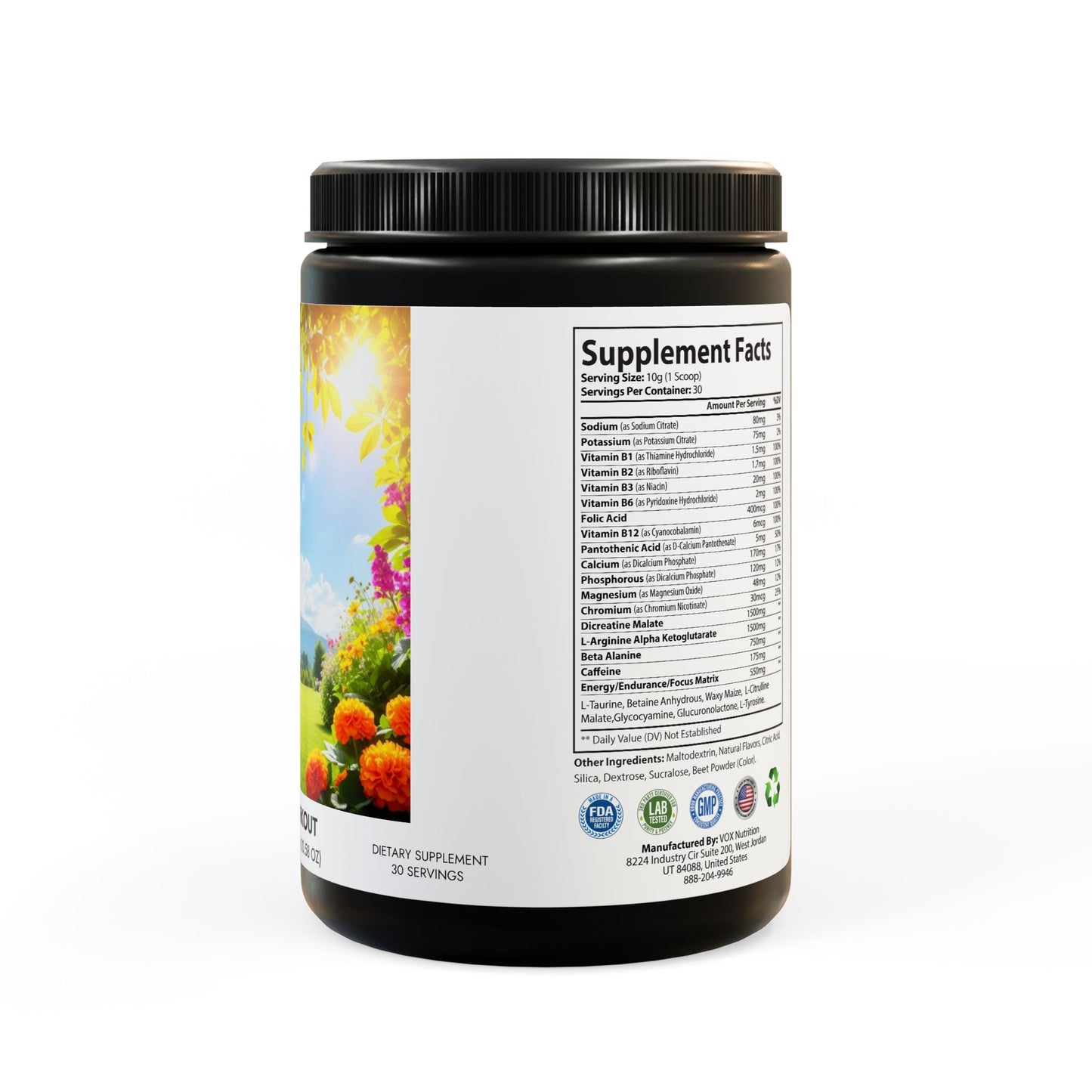 “HEALTHY POSSIBLE” Pre-Workout Supplement, Watermelon (300g, 10.58oz)