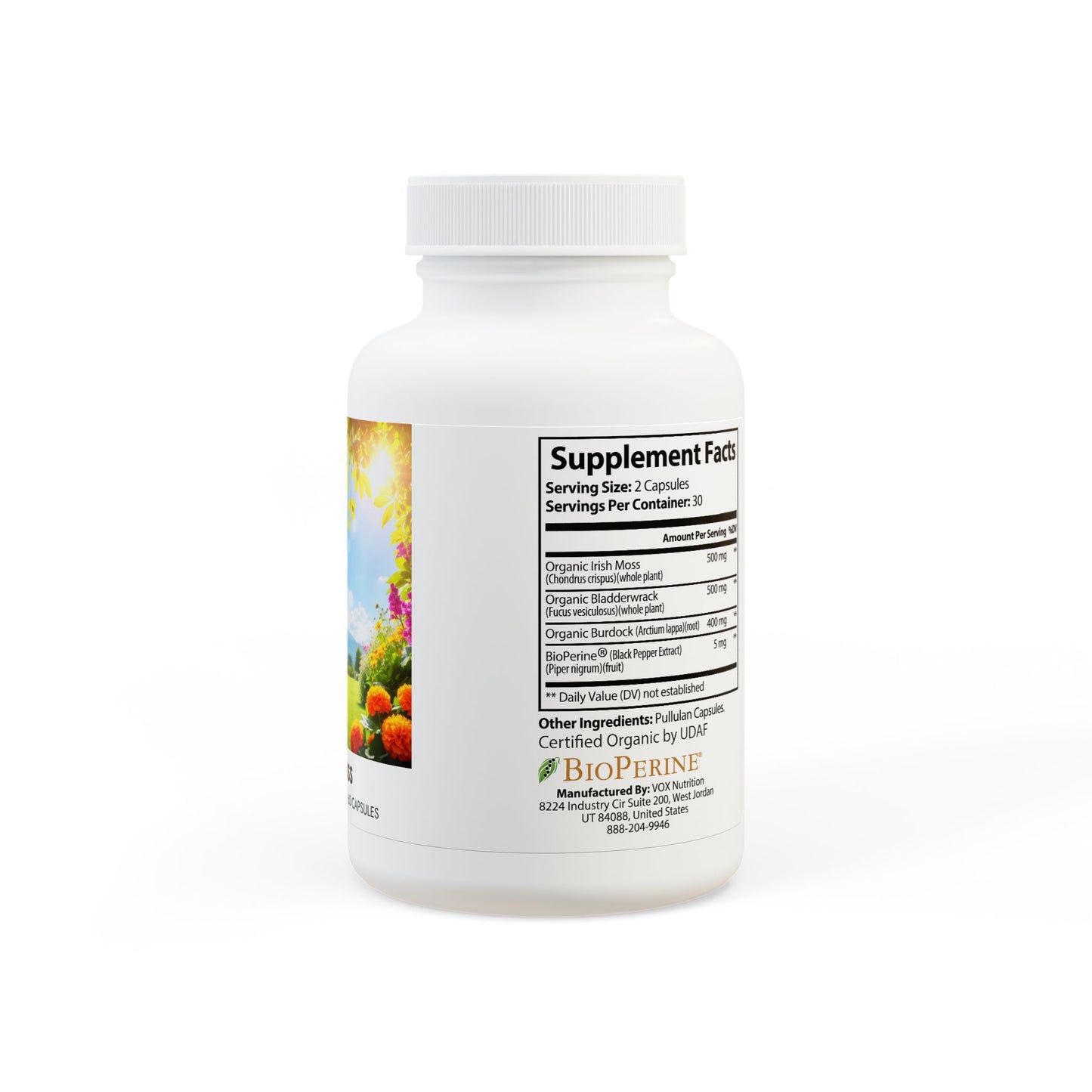 “HEALTHY POSSIBLE” Sea Moss Supplement (60 Capsules)
