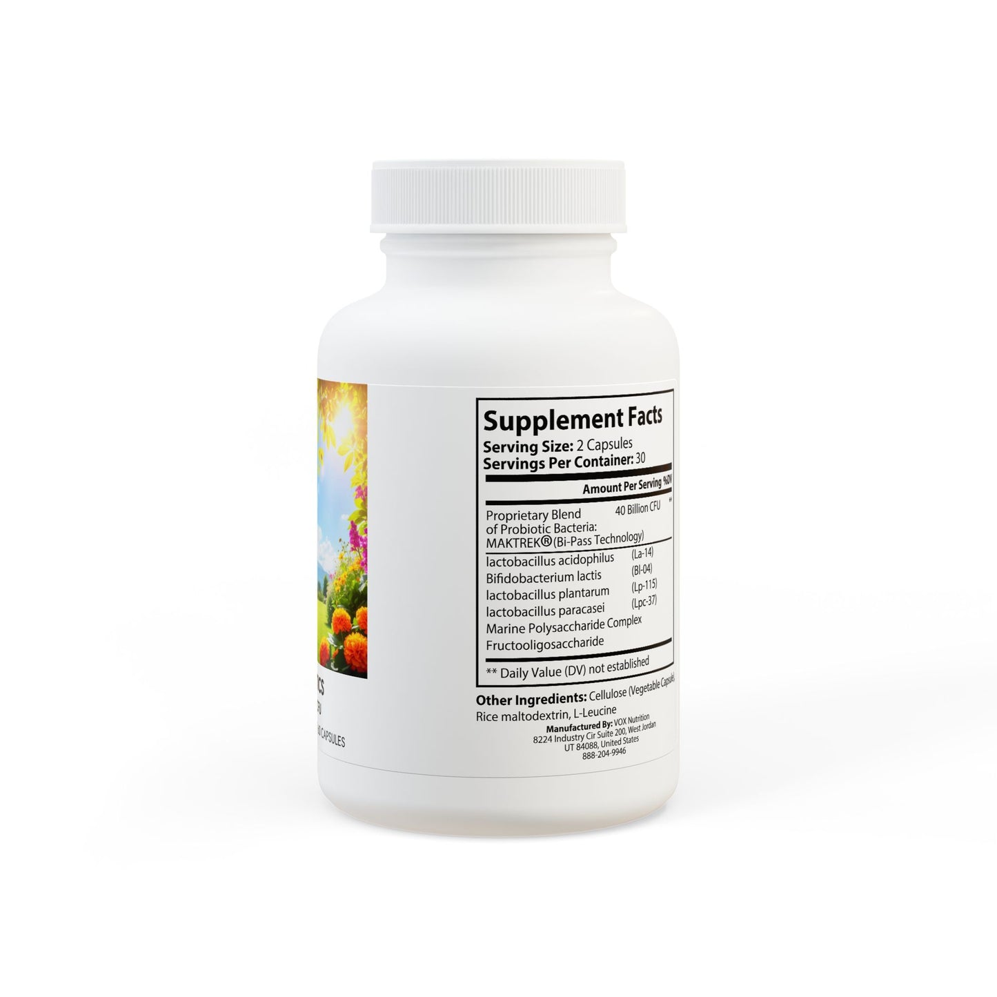 “HEALTHY POSSIBLE” Probiotics Supplement (60 Capsules)